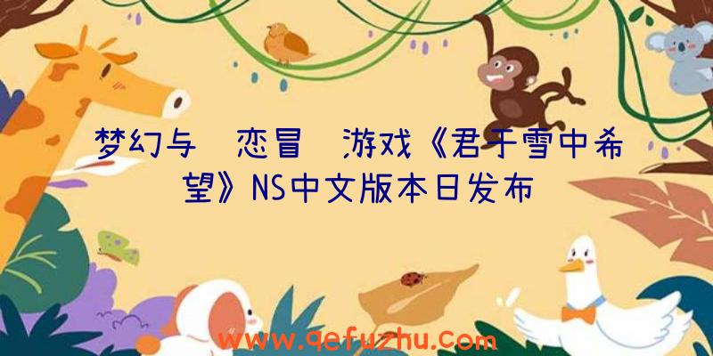 梦幻与风恋冒险游戏《君于雪中希望》NS中文版本日发布