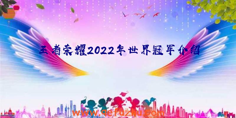 王者荣耀2022年世界冠军介绍