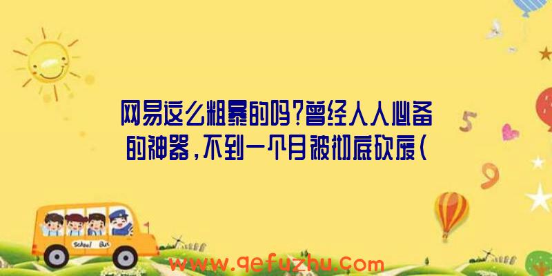 网易这么粗暴的吗？曾经人人必备的神器，不到一个月被彻底砍废（网易就是个废物）