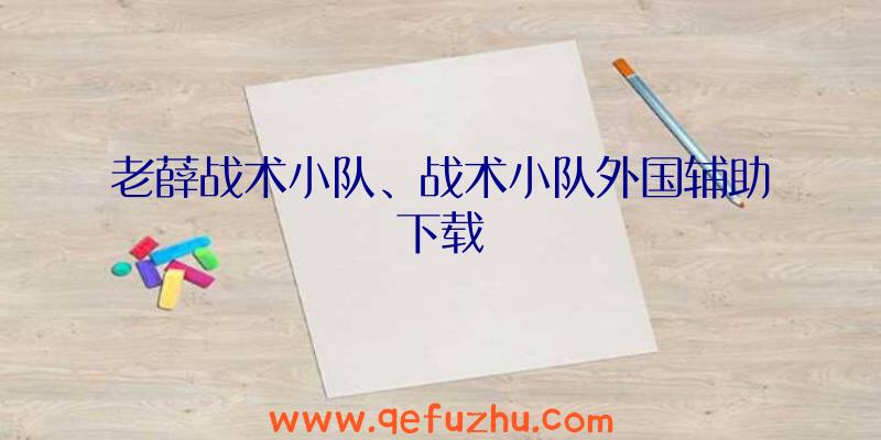 老薛战术小队、战术小队外国辅助下载