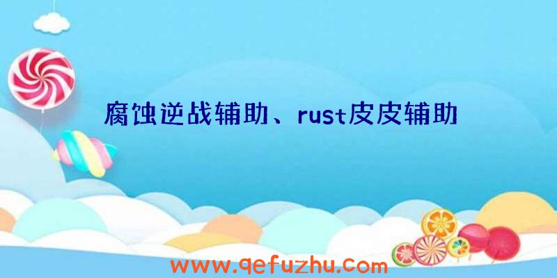 腐蚀逆战辅助、rust皮皮辅助