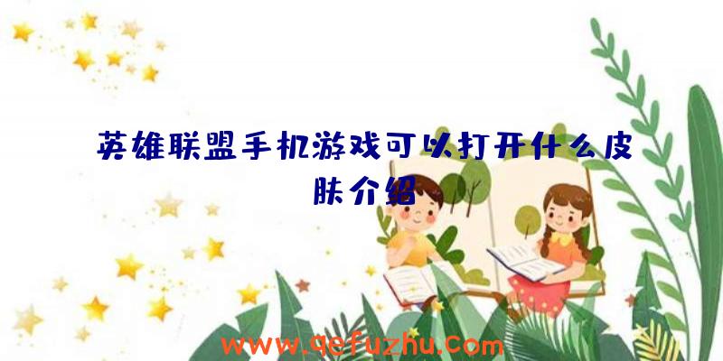 英雄联盟手机游戏可以打开什么皮肤介绍