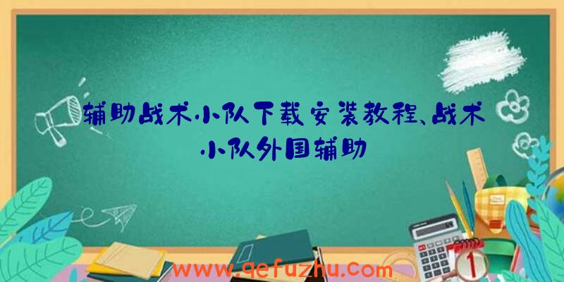 辅助战术小队下载安装教程、战术小队外国辅助