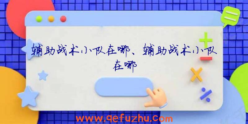 辅助战术小队在哪、辅助战术小队在哪