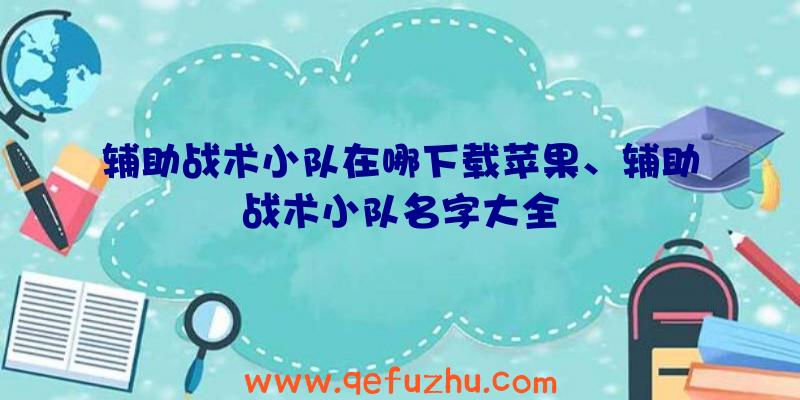 辅助战术小队在哪下载苹果、辅助战术小队名字大全