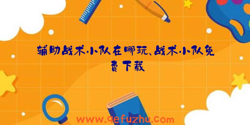 辅助战术小队在哪玩、战术小队免费下载