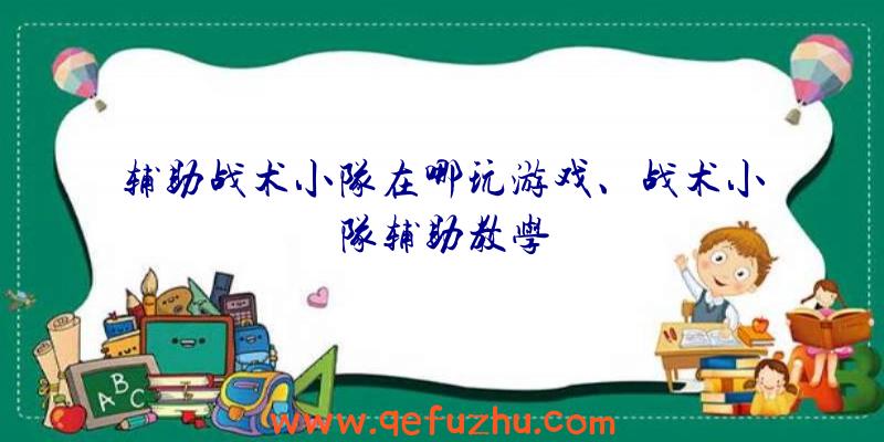 辅助战术小队在哪玩游戏、战术小队辅助教学