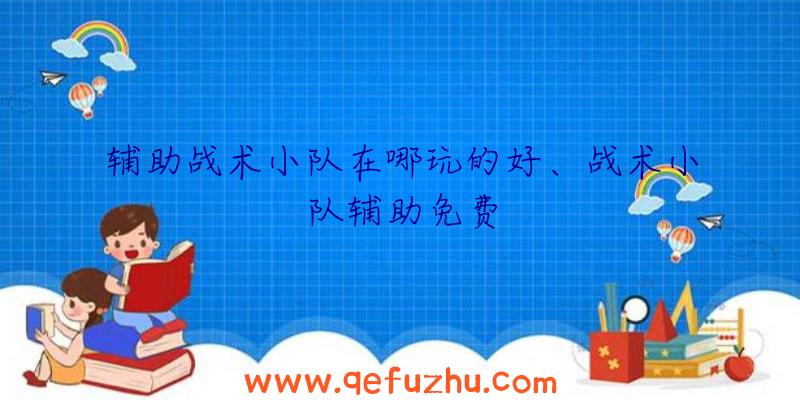 辅助战术小队在哪玩的好、战术小队辅助免费