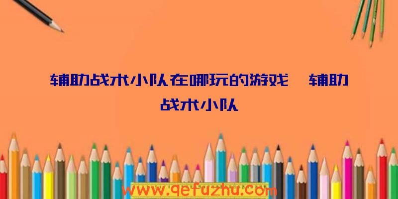 辅助战术小队在哪玩的游戏、辅助战术小队