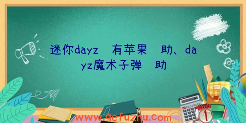 迷你dayz谁有苹果辅助、dayz魔术子弹辅助