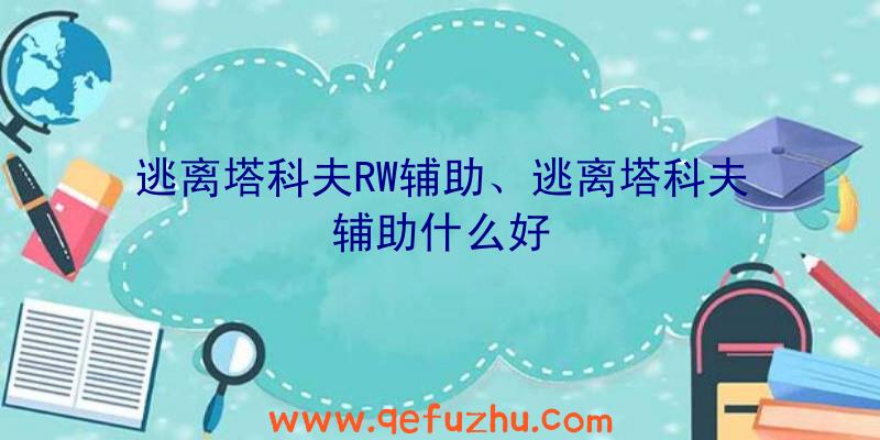 逃离塔科夫RW辅助、逃离塔科夫辅助什么好