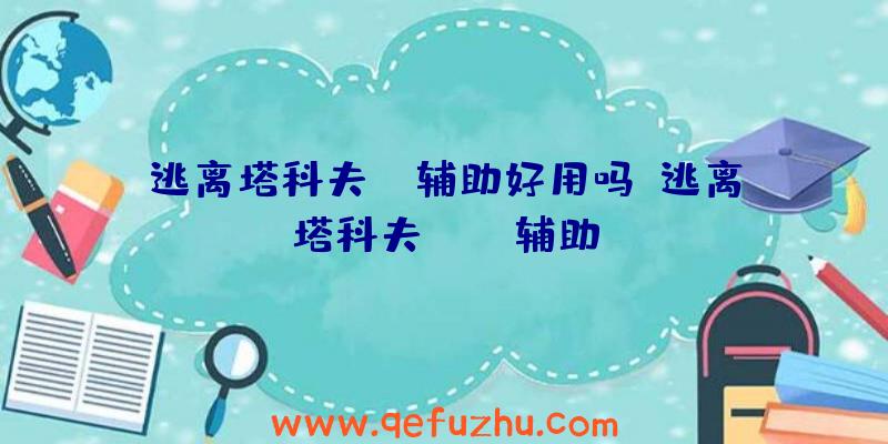 逃离塔科夫bl辅助好用吗、逃离塔科夫ring辅助