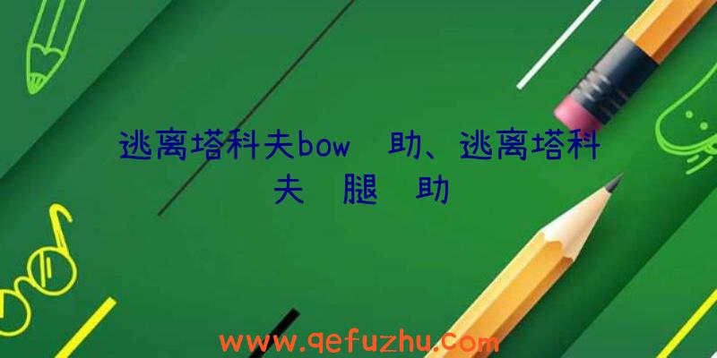 逃离塔科夫bow辅助、逃离塔科夫鸡腿辅助