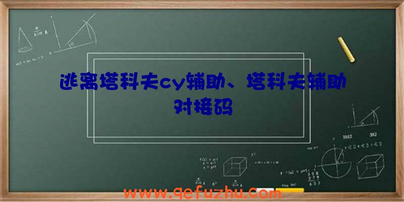 逃离塔科夫cy辅助、塔科夫辅助对接码