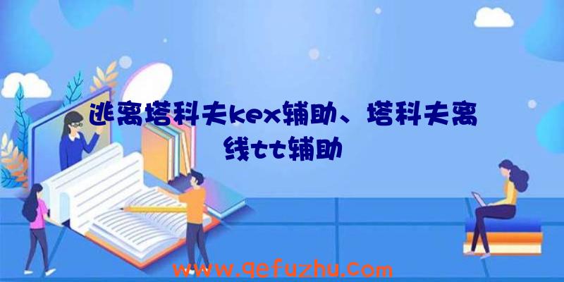 逃离塔科夫kex辅助、塔科夫离线tt辅助