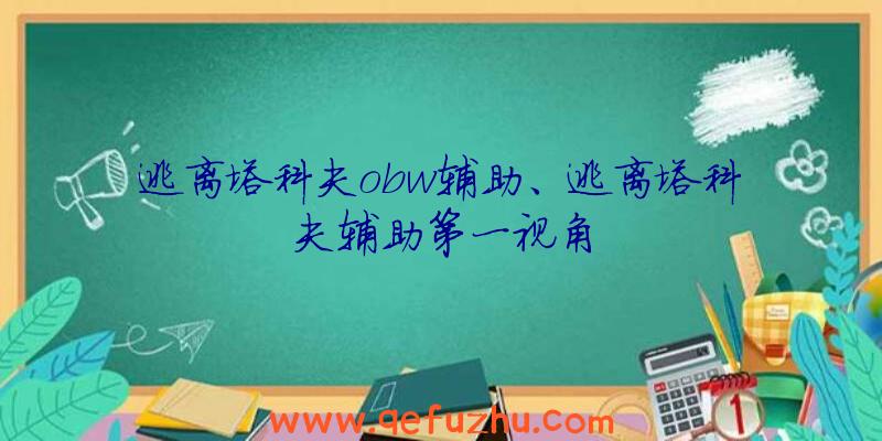 逃离塔科夫obw辅助、逃离塔科夫辅助第一视角