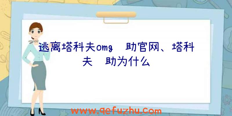 逃离塔科夫omg辅助官网、塔科夫辅助为什么贵