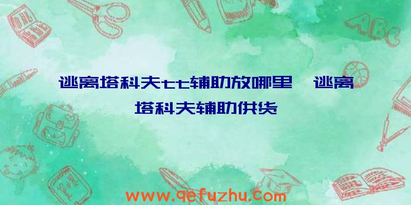 逃离塔科夫tt辅助放哪里、逃离塔科夫辅助供货