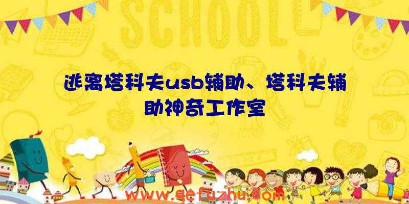 逃离塔科夫usb辅助、塔科夫辅助神奇工作室