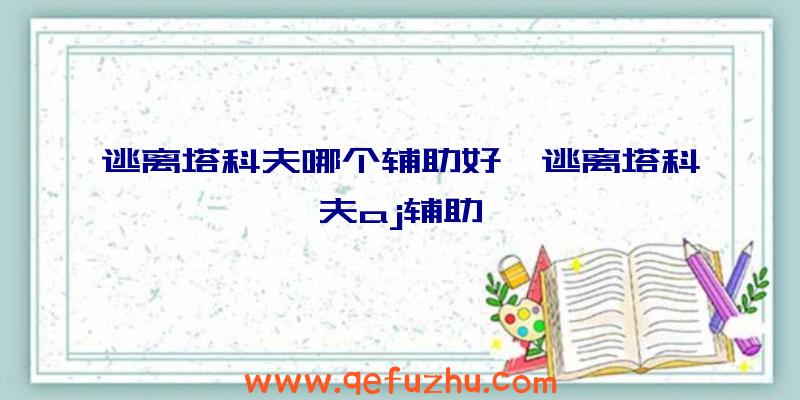 逃离塔科夫哪个辅助好、逃离塔科夫aj辅助