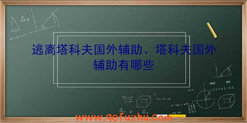 逃离塔科夫国外辅助、塔科夫国外辅助有哪些