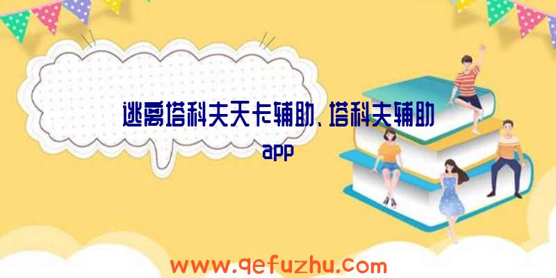 逃离塔科夫天卡辅助、塔科夫辅助app