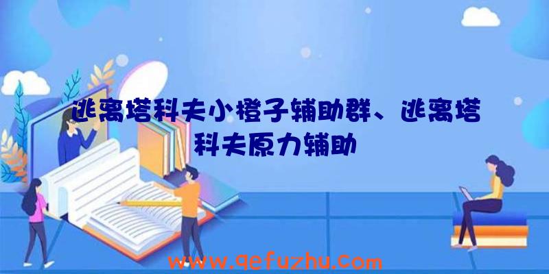 逃离塔科夫小橙子辅助群、逃离塔科夫原力辅助