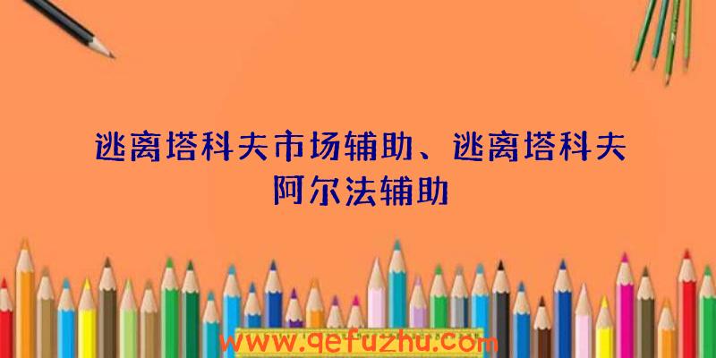 逃离塔科夫市场辅助、逃离塔科夫阿尔法辅助