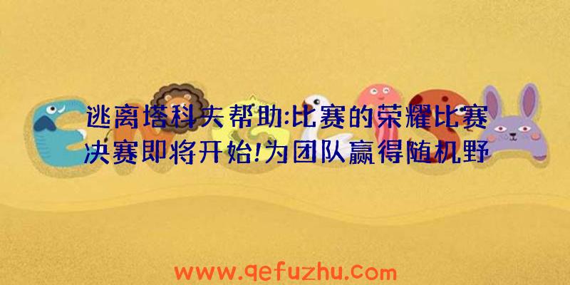 逃离塔科夫帮助:比赛的荣耀比赛决赛即将开始!为团队赢得随机野