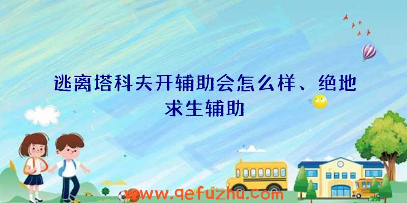 逃离塔科夫开辅助会怎么样、绝地求生辅助