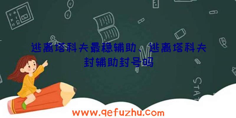 逃离塔科夫最稳辅助、逃离塔科夫封辅助封号吗