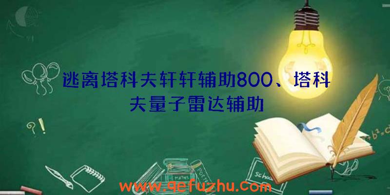 逃离塔科夫轩轩辅助800、塔科夫量子雷达辅助