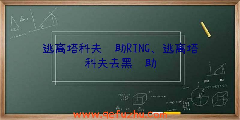 逃离塔科夫辅助RING、逃离塔科夫去黑辅助