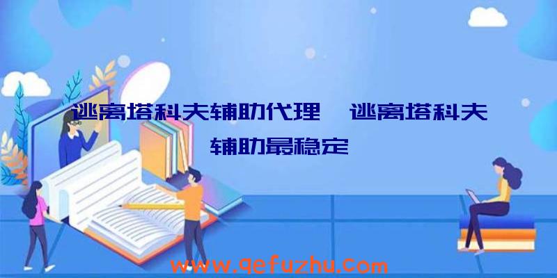 逃离塔科夫辅助代理、逃离塔科夫辅助最稳定