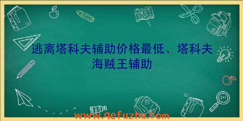 逃离塔科夫辅助价格最低、塔科夫海贼王辅助