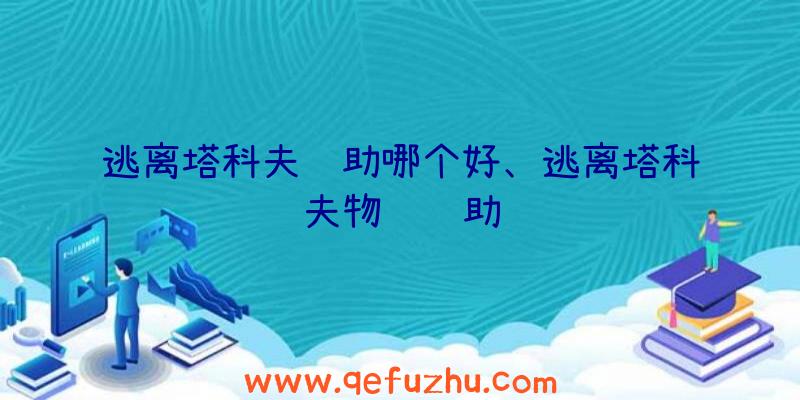 逃离塔科夫辅助哪个好、逃离塔科夫物资辅助