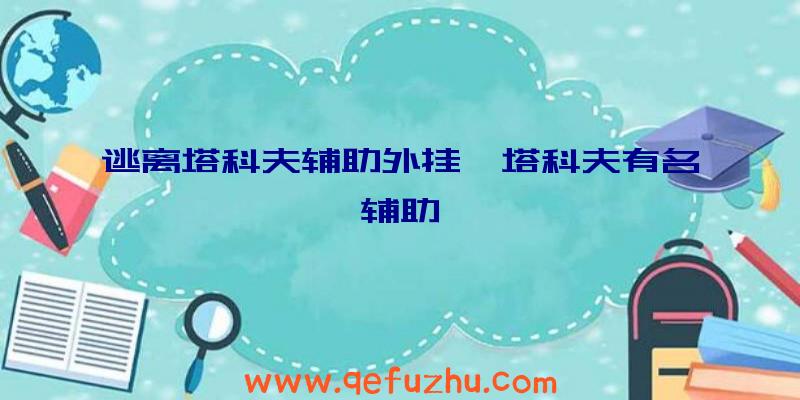 逃离塔科夫辅助外挂、塔科夫有名辅助