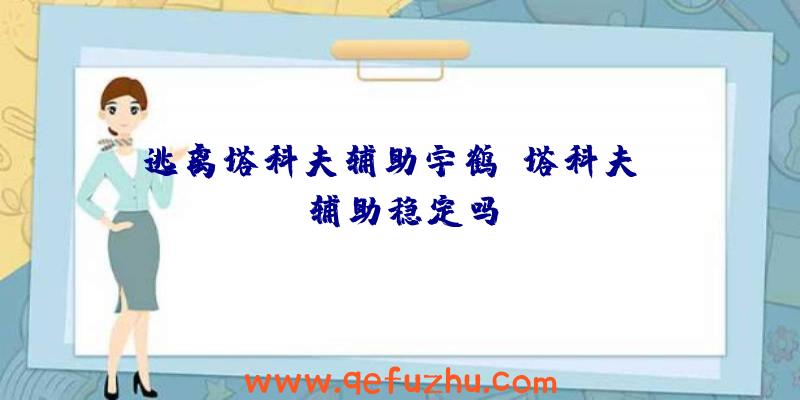 逃离塔科夫辅助宇鹤、塔科夫ru辅助稳定吗