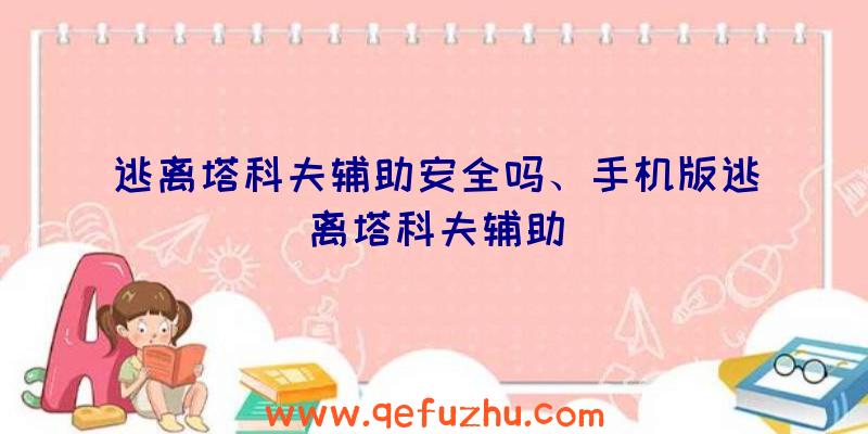 逃离塔科夫辅助安全吗、手机版逃离塔科夫辅助