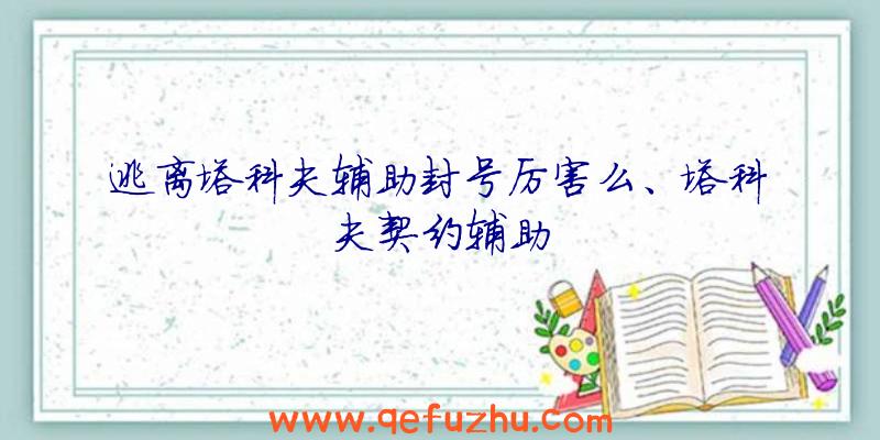 逃离塔科夫辅助封号厉害么、塔科夫契约辅助