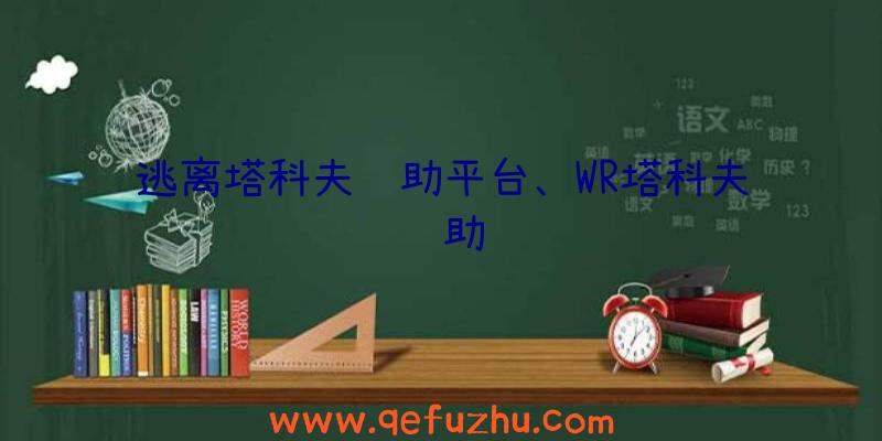 逃离塔科夫辅助平台、WR塔科夫辅助