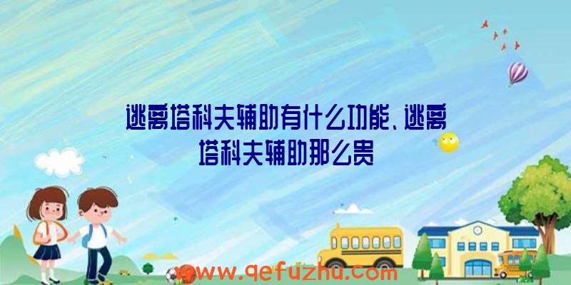 逃离塔科夫辅助有什么功能、逃离塔科夫辅助那么贵