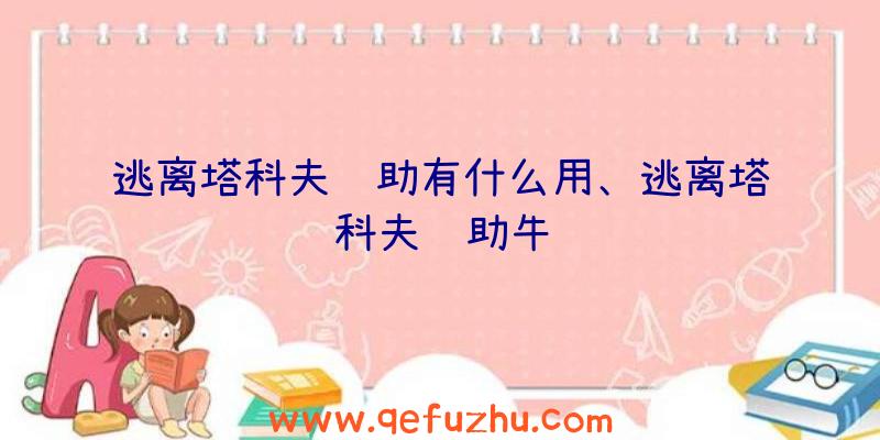 逃离塔科夫辅助有什么用、逃离塔科夫辅助牛