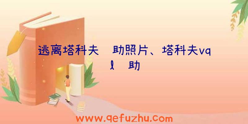 逃离塔科夫辅助照片、塔科夫vql辅助