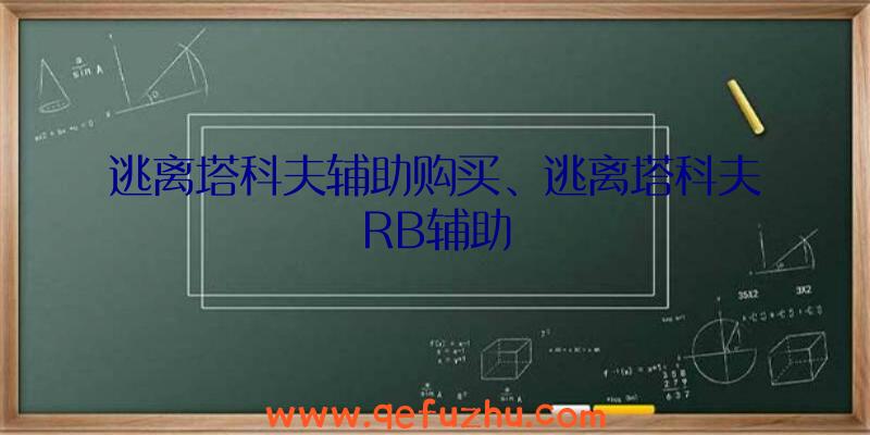 逃离塔科夫辅助购买、逃离塔科夫RB辅助