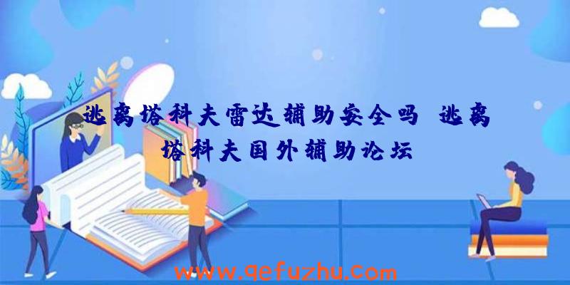 逃离塔科夫雷达辅助安全吗、逃离塔科夫国外辅助论坛