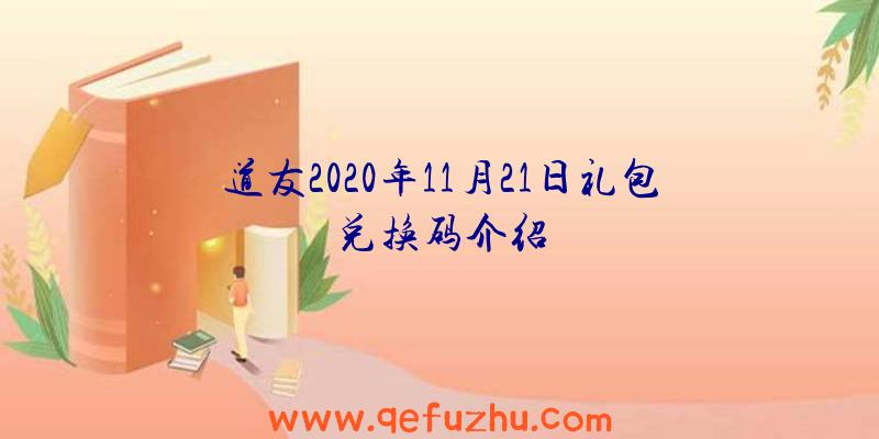 道友2020年11月21日礼包兑换码介绍