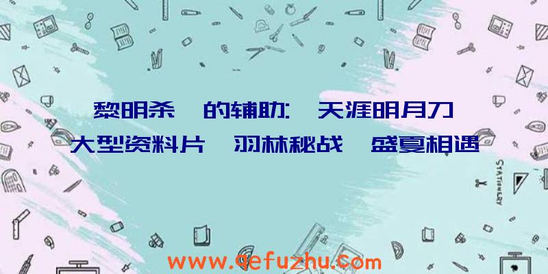 黎明杀戮的辅助:《天涯明月刀》大型资料片《羽林秘战》盛夏相遇