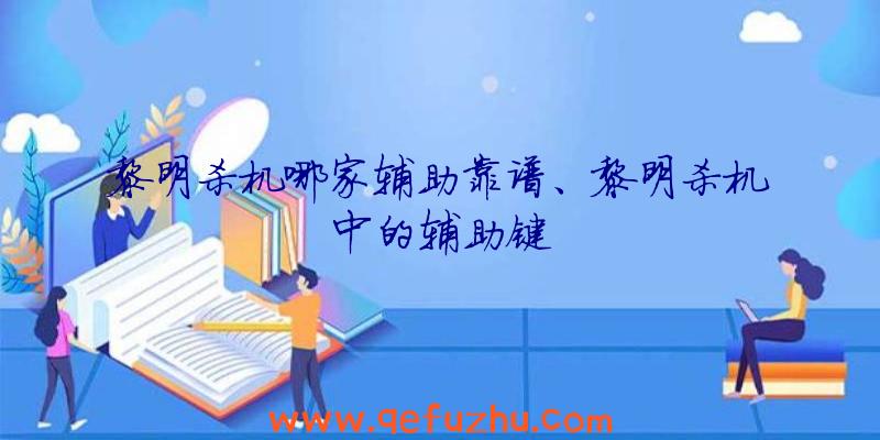 黎明杀机哪家辅助靠谱、黎明杀机中的辅助键