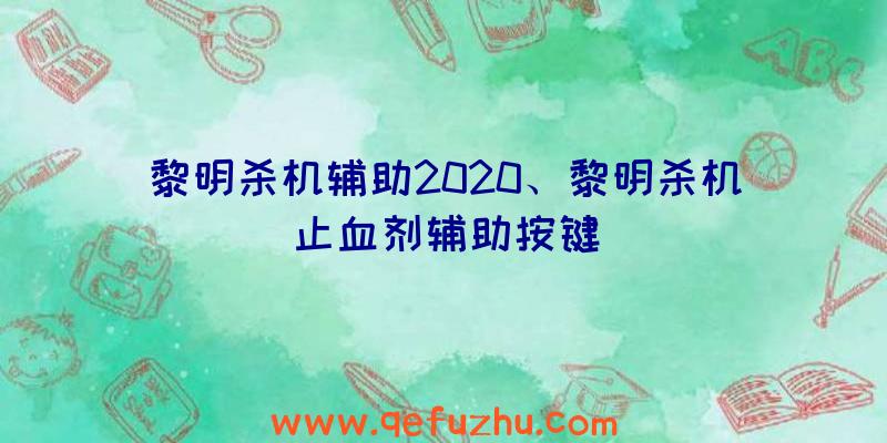 黎明杀机辅助2020、黎明杀机止血剂辅助按键